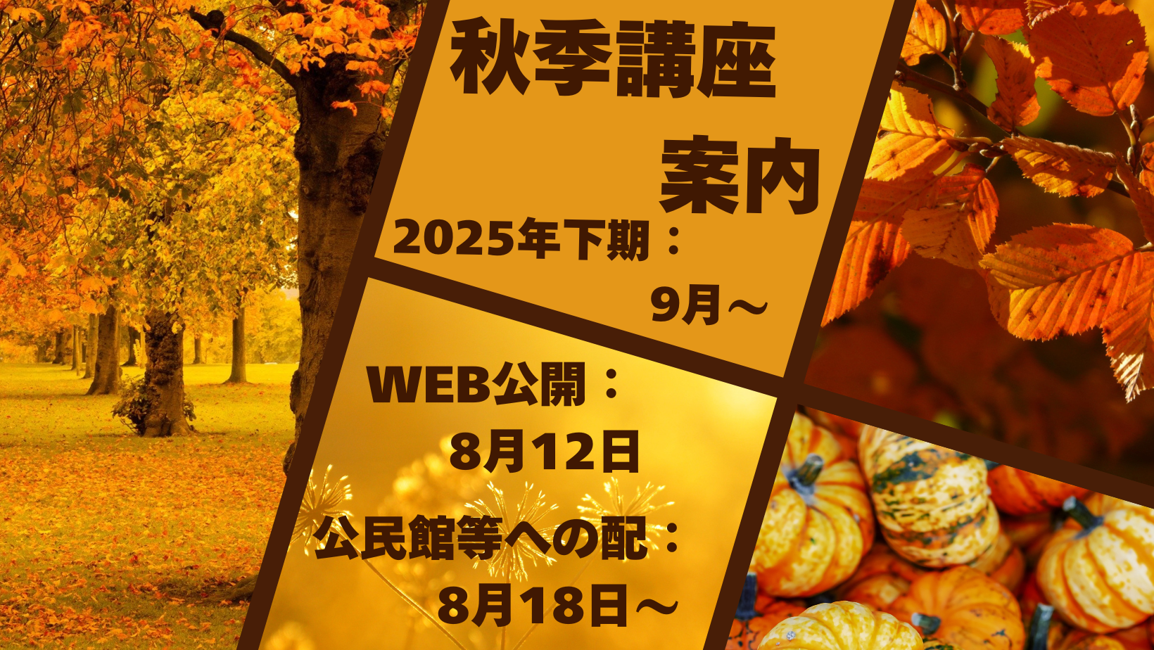 新規00