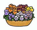 寄せ植え体験